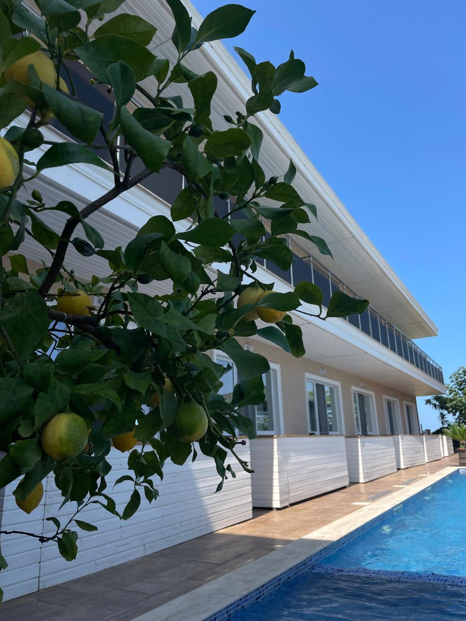 Gradina Holiday Sosopol Exterior foto